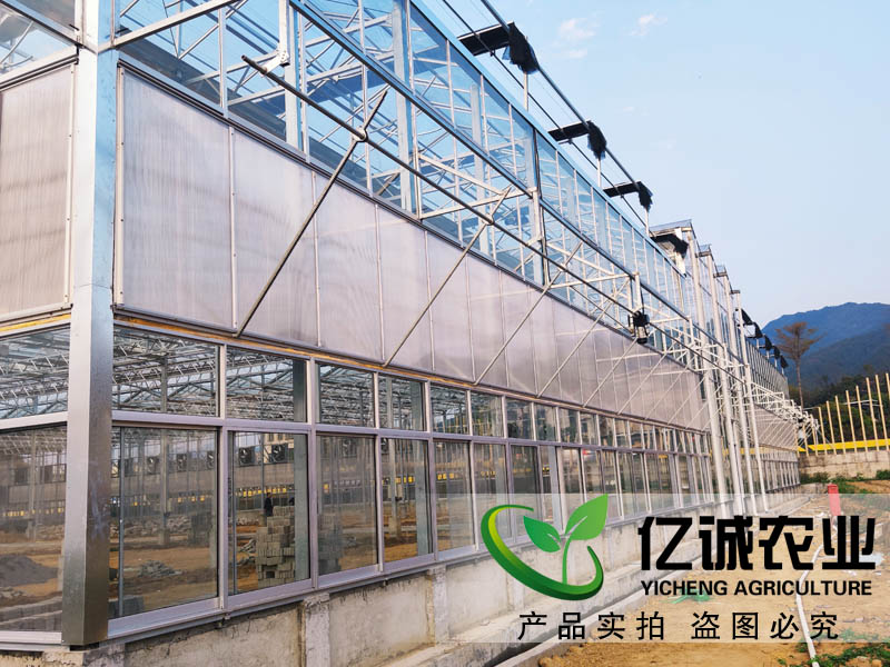 现代化玻璃温室大棚厂家